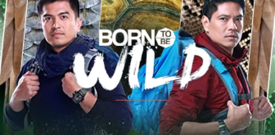 Born To Be Wild February 22, 2026 full episode